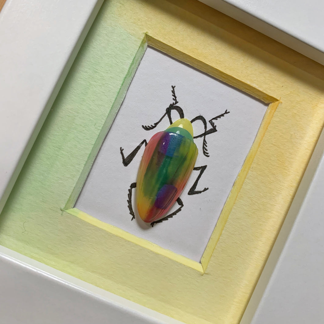 Rainbow Bug