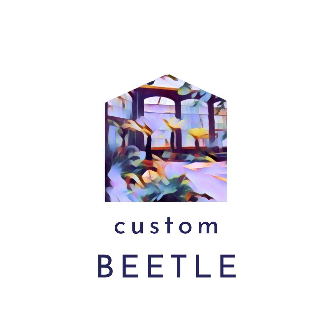 Custom Beetle