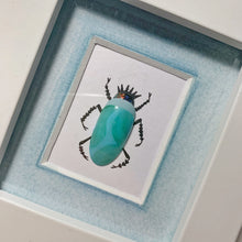 Load image into Gallery viewer, Turquoise Monarch

